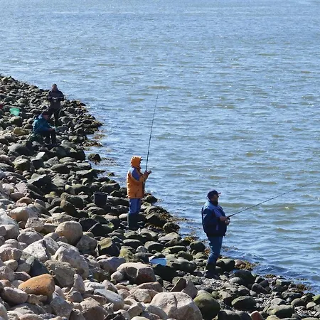 Dom wakacyjny Fyrmarken Ii Hvide Sande
